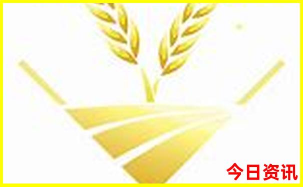 今晚上澳门买什么